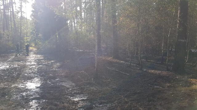 Einsatz Nr. 52/2018 ©Feuerwehr Rödermark-Urberach
