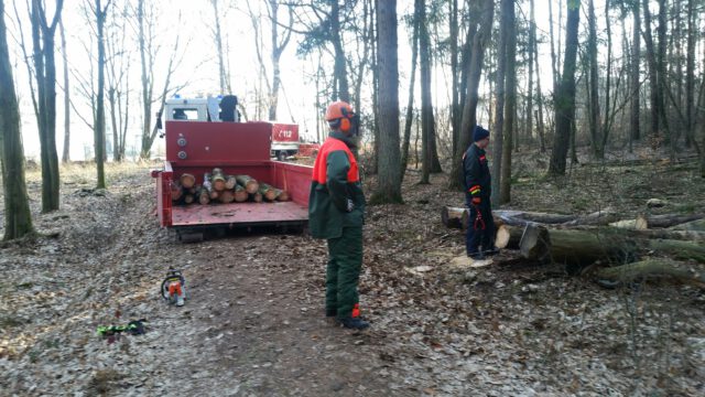 Kettensägenausbildung am 23.02.19 ©Feuerwehr Rödermark-Urberach